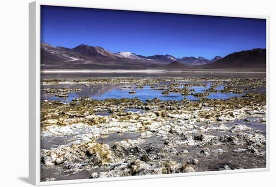Salar De Atacama, Chile-Françoise Gaujour-Framed Photographic Print