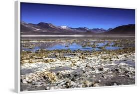 Salar De Atacama, Chile-Françoise Gaujour-Framed Photographic Print