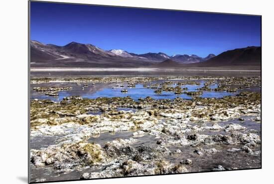 Salar De Atacama, Chile-Françoise Gaujour-Mounted Photographic Print