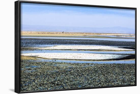 Salar De Atacama, Chile-Françoise Gaujour-Framed Photographic Print