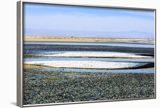 Salar De Atacama, Chile-Françoise Gaujour-Framed Photographic Print