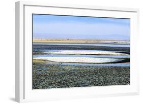 Salar De Atacama, Chile-Françoise Gaujour-Framed Photographic Print