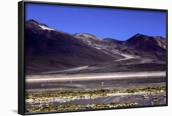 Salar De Atacama, Chile-Françoise Gaujour-Framed Photographic Print