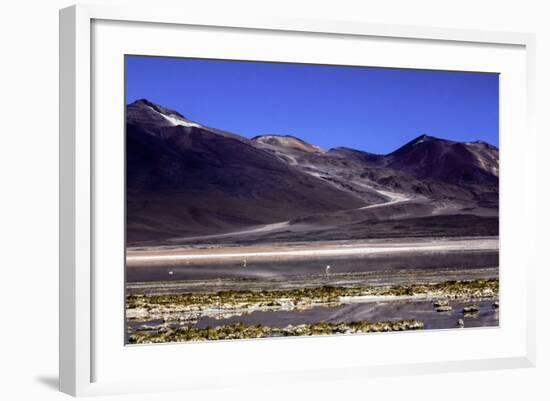 Salar De Atacama, Chile-Françoise Gaujour-Framed Photographic Print