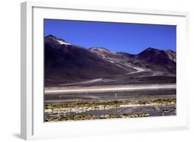 Salar De Atacama, Chile-Françoise Gaujour-Framed Photographic Print