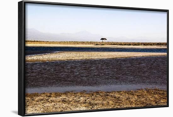 Salar De Atacama, Chile-Françoise Gaujour-Framed Photographic Print