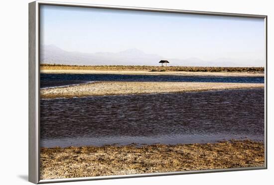 Salar De Atacama, Chile-Françoise Gaujour-Framed Photographic Print