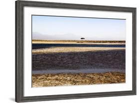 Salar De Atacama, Chile-Françoise Gaujour-Framed Photographic Print