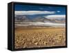 Salar De Talar, Atacama Desert, Chile, South America-Sergio Pitamitz-Framed Stretched Canvas