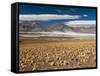 Salar De Talar, Atacama Desert, Chile, South America-Sergio Pitamitz-Framed Stretched Canvas