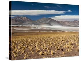 Salar De Talar, Atacama Desert, Chile, South America-Sergio Pitamitz-Stretched Canvas