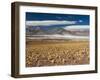 Salar De Talar, Atacama Desert, Chile, South America-Sergio Pitamitz-Framed Photographic Print