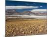 Salar De Talar, Atacama Desert, Chile, South America-Sergio Pitamitz-Mounted Photographic Print