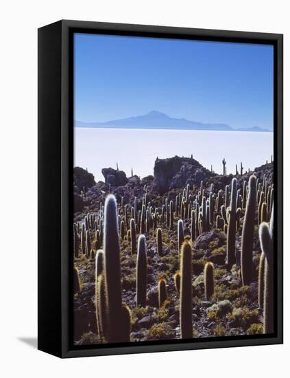 Salar De Uyuni and Cactuses in Isla De Pescado, Bolivia-Massimo Borchi-Framed Stretched Canvas