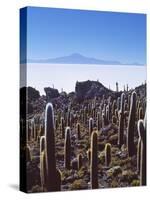 Salar De Uyuni and Cactuses in Isla De Pescado, Bolivia-Massimo Borchi-Stretched Canvas