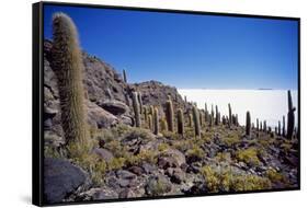 Salar De Uyuni and Cactuses in Isla De Pescado, Bolivia-Massimo Borchi-Framed Stretched Canvas