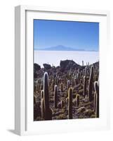 Salar De Uyuni and Cactuses in Isla De Pescado, Bolivia-Massimo Borchi-Framed Photographic Print