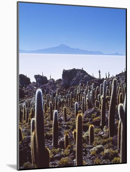 Salar De Uyuni and Cactuses in Isla De Pescado, Bolivia-Massimo Borchi-Mounted Photographic Print
