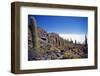 Salar De Uyuni and Cactuses in Isla De Pescado, Bolivia-Massimo Borchi-Framed Photographic Print