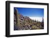 Salar De Uyuni and Cactuses in Isla De Pescado, Bolivia-Massimo Borchi-Framed Photographic Print