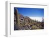 Salar De Uyuni and Cactuses in Isla De Pescado, Bolivia-Massimo Borchi-Framed Photographic Print