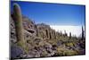 Salar De Uyuni and Cactuses in Isla De Pescado, Bolivia-Massimo Borchi-Mounted Photographic Print