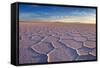 Salar De Uyuni at Sunrise, the Largest Salt Flat in the World-David Krijgsman-Framed Stretched Canvas