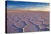 Salar De Uyuni at Sunrise, the Largest Salt Flat in the World-David Krijgsman-Stretched Canvas