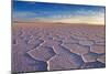 Salar De Uyuni at Sunrise, the Largest Salt Flat in the World-David Krijgsman-Mounted Photographic Print