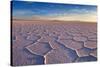 Salar De Uyuni at Sunrise, the Largest Salt Flat in the World-David Krijgsman-Stretched Canvas