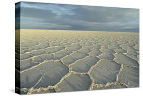 Salar de Uyuni, Bolivia. largest salt flat in world, in Uyuni, Bolivia.-Anthony Asael-Stretched Canvas