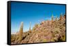 Salar De Uyuni - Bolivia-chrishowey-Framed Stretched Canvas