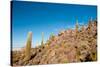 Salar De Uyuni - Bolivia-chrishowey-Stretched Canvas