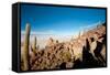 Salar De Uyuni - Bolivia-chrishowey-Framed Stretched Canvas