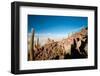 Salar De Uyuni - Bolivia-chrishowey-Framed Photographic Print