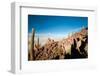 Salar De Uyuni - Bolivia-chrishowey-Framed Photographic Print