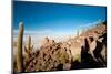 Salar De Uyuni - Bolivia-chrishowey-Mounted Photographic Print