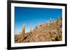 Salar De Uyuni - Bolivia-chrishowey-Framed Photographic Print