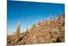 Salar De Uyuni - Bolivia-chrishowey-Mounted Photographic Print