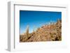 Salar De Uyuni - Bolivia-chrishowey-Framed Photographic Print