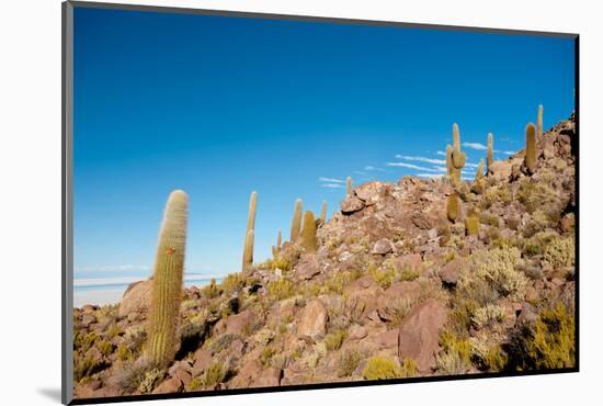 Salar De Uyuni - Bolivia-chrishowey-Mounted Photographic Print