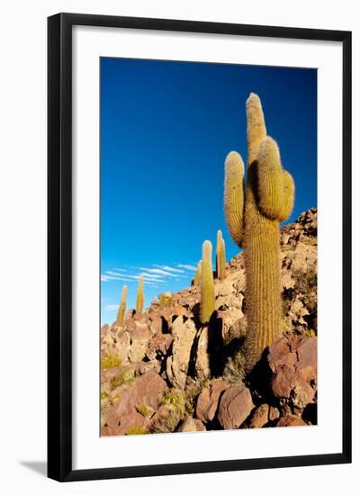 Salar De Uyuni - Bolivia-chrishowey-Framed Photographic Print