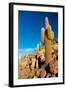 Salar De Uyuni - Bolivia-chrishowey-Framed Photographic Print