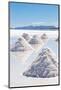 Salar De Uyuni - Bolivia-chrishowey-Mounted Photographic Print