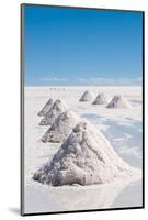 Salar De Uyuni - Bolivia-chrishowey-Mounted Photographic Print