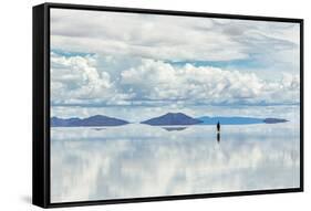 Salar De Uyuni is Largest Salt Flat in the World (Unesco World Heritage Site) - Altiplano, Bolivia,-Vadim Petrakov-Framed Stretched Canvas