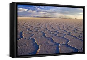 Salar De Uyuni Polygonal Salt Pattern on Dried-null-Framed Stretched Canvas