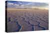 Salar De Uyuni Polygonal Salt Pattern on Dried-null-Stretched Canvas