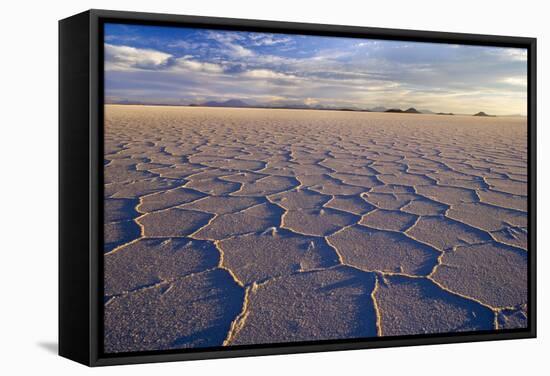 Salar De Uyuni Polygonal Salt Pattern on Dried-null-Framed Stretched Canvas