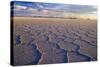 Salar De Uyuni Polygonal Salt Pattern on Dried-null-Stretched Canvas